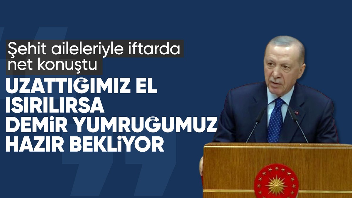 Cumhurbaşkanı Erdoğan: Demir yumruğumuz hazır